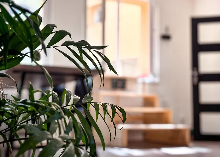 Remote Work Friendly Zahradni Apartman U Jezera