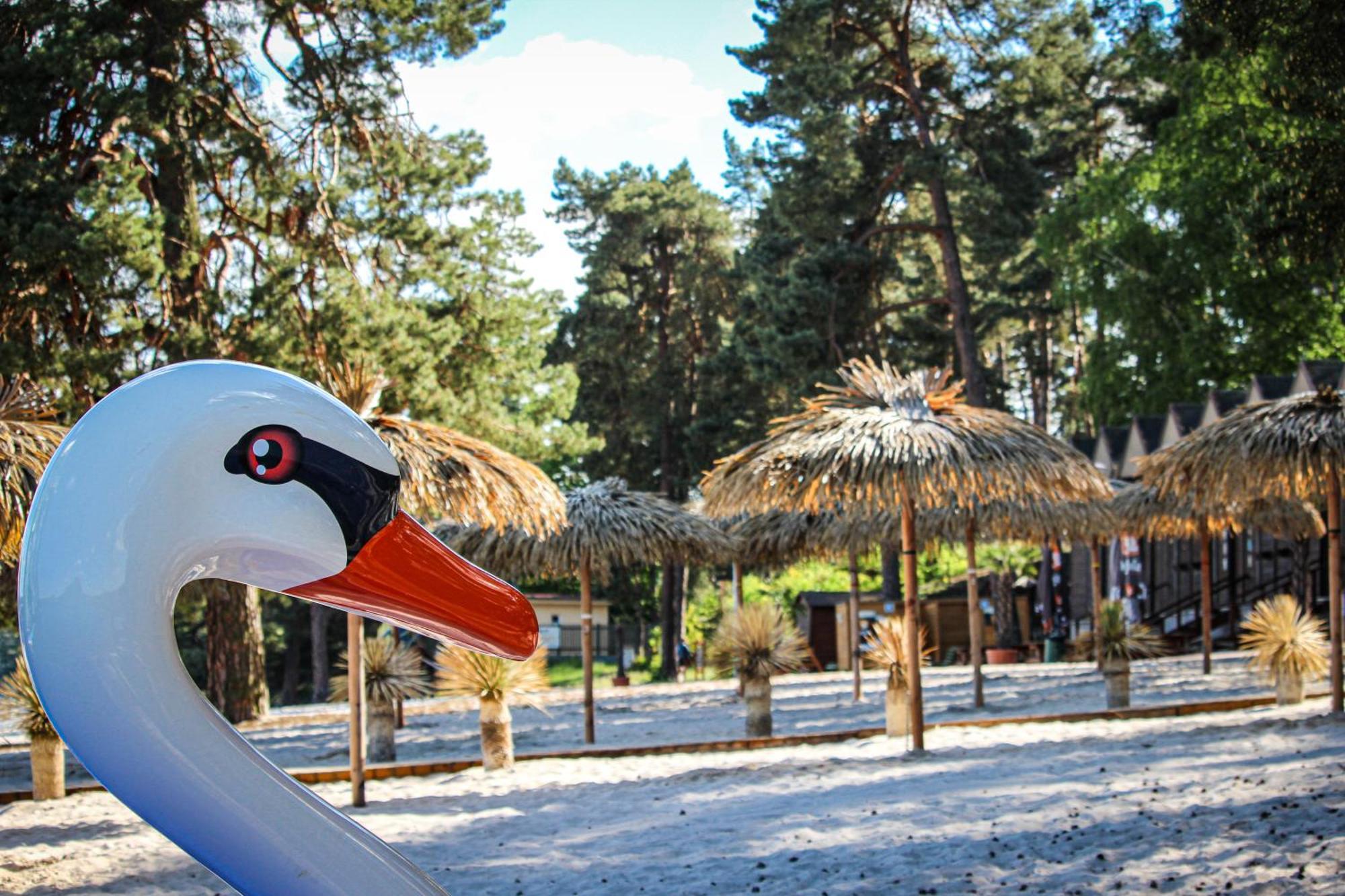 Remote Work Friendly Zahradni U Jezera Stare Splavy