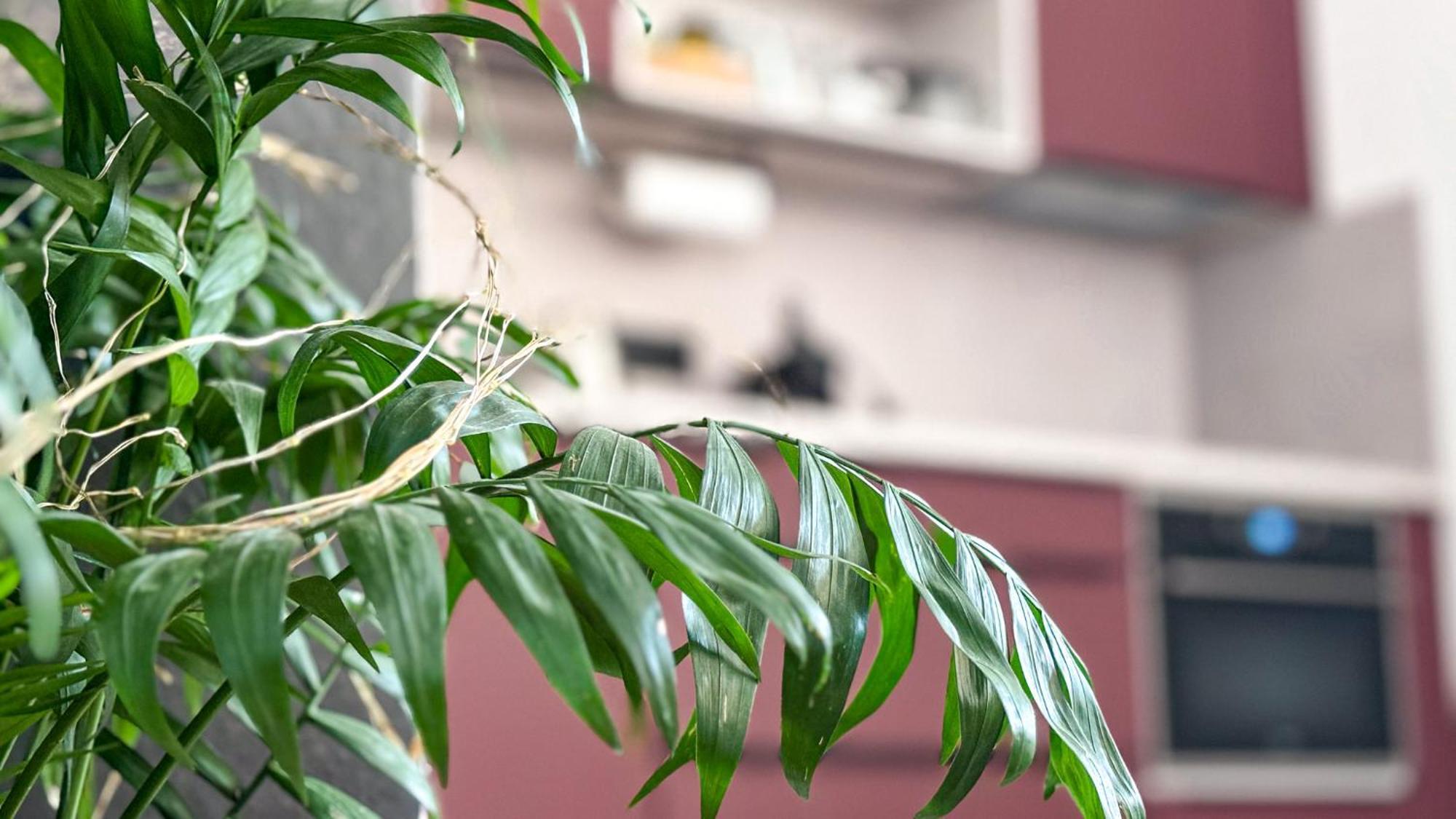 Remote Work Friendly Zahradni U Jezera *