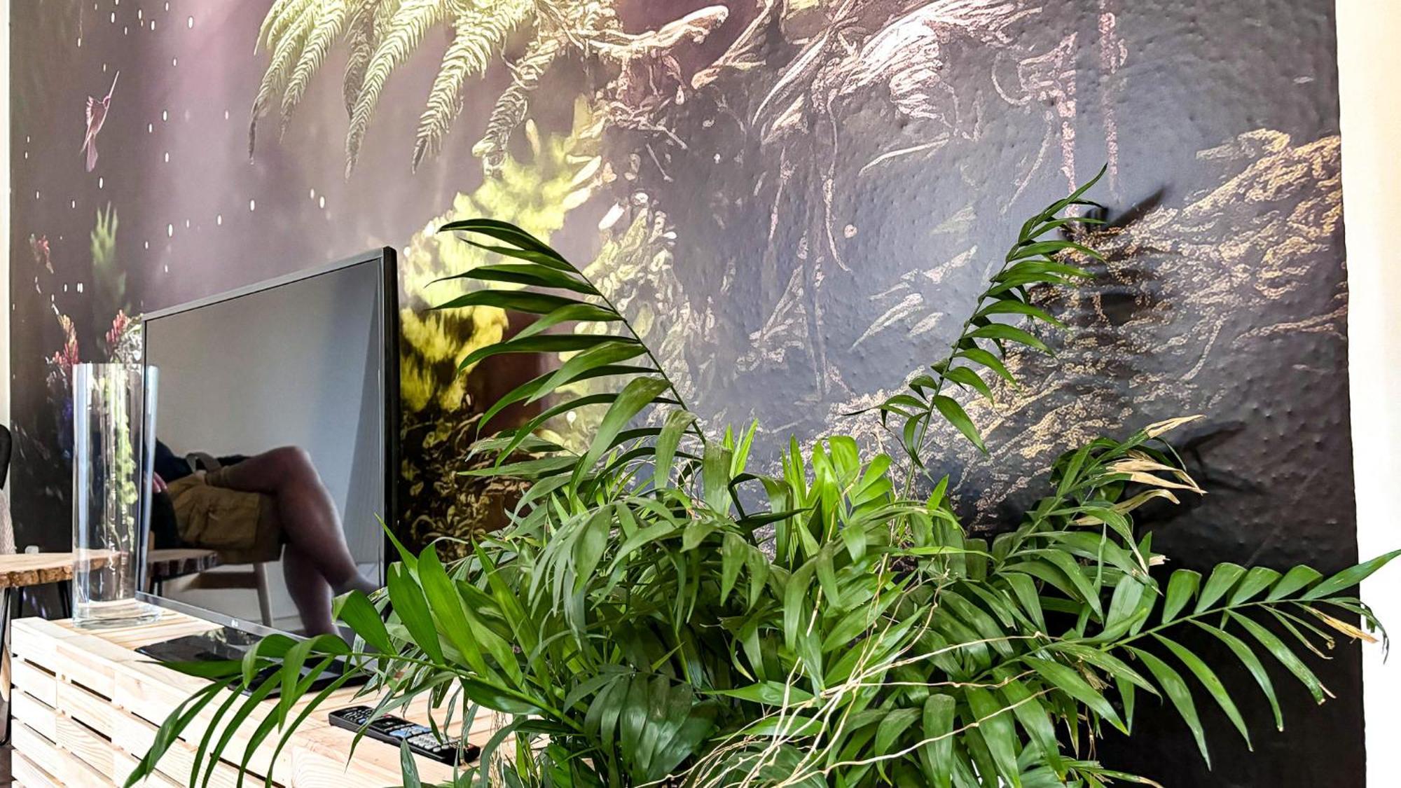 Remote Work Friendly Zahradni U Jezera Stare Splavy