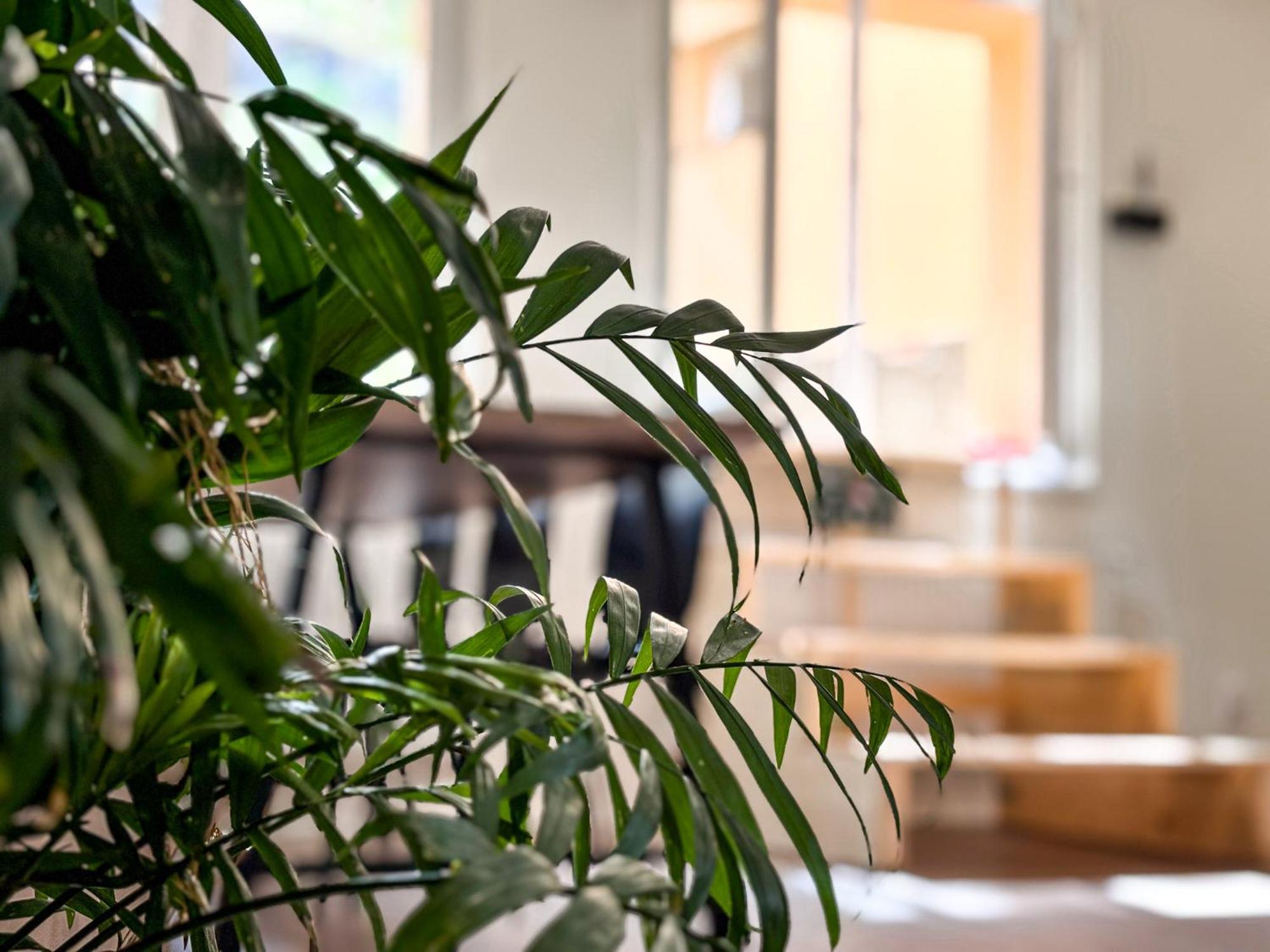 Apartment Remote Work Friendly Zahradni U Jezera