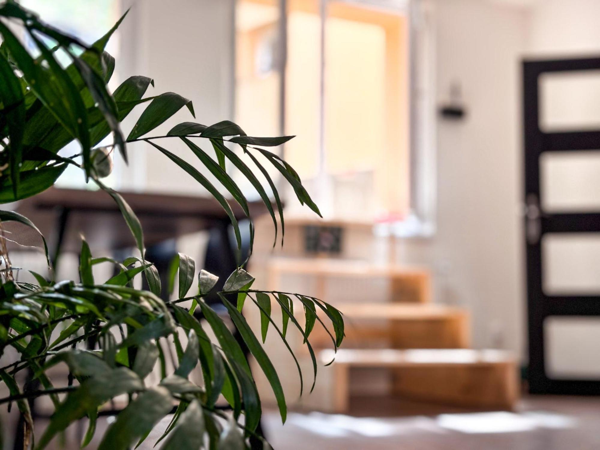 Remote Work Friendly Zahradni U Jezera * Stare Splavy