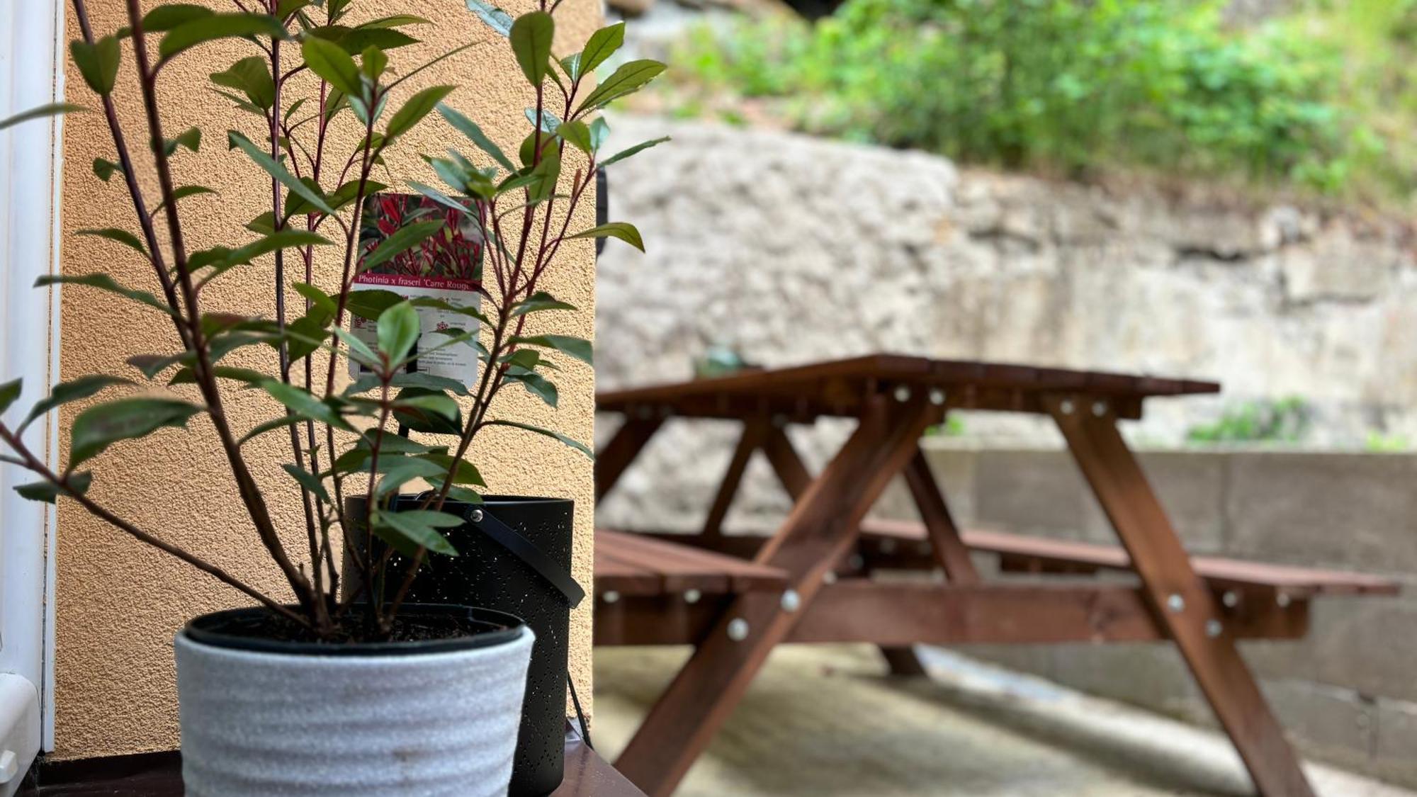 Remote Work Friendly Zahradni U Jezera Apartment