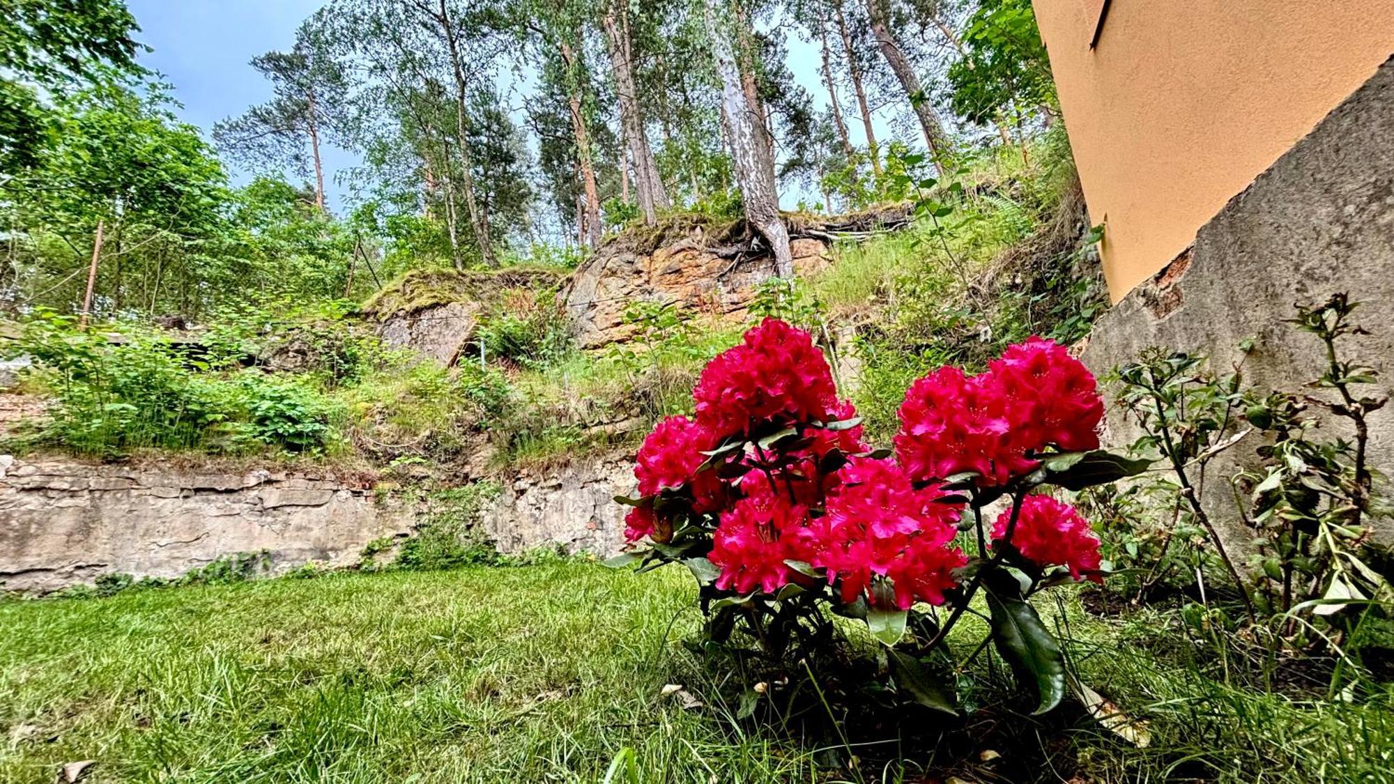 Apartment Remote Work Friendly Zahradni U Jezera Stare Splavy