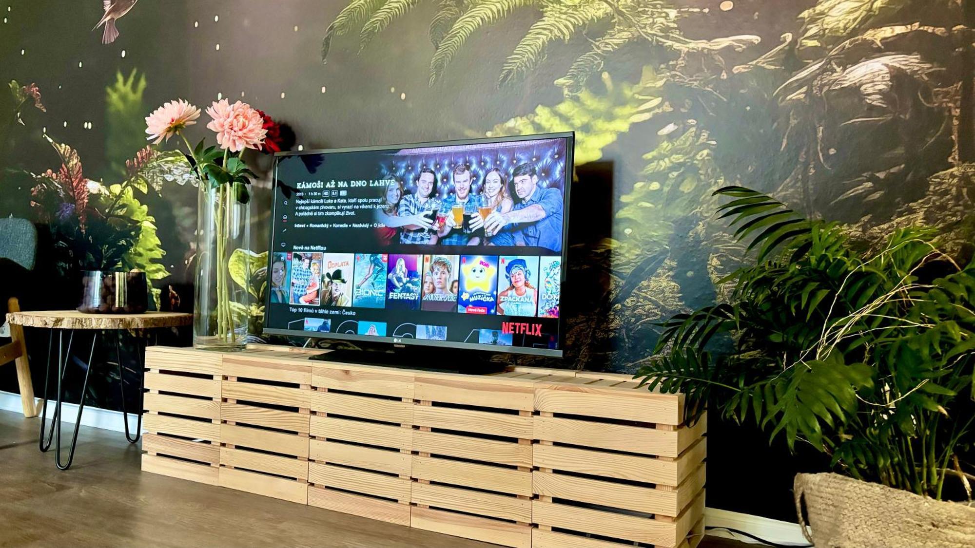 Apartment Remote Work Friendly Zahradni U Jezera *