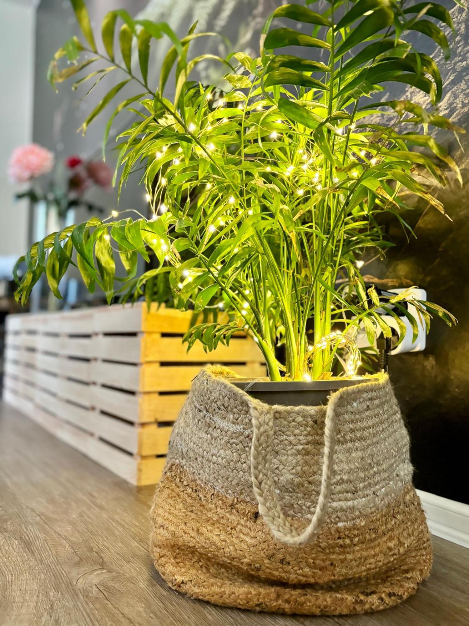 Remote Work Friendly Zahradni U Jezera Apartment