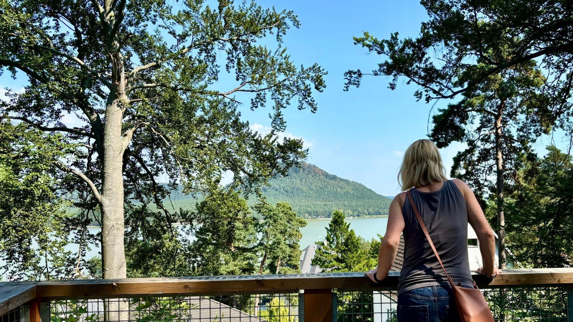 Remote Work Friendly Zahradni U Jezera Apartment *